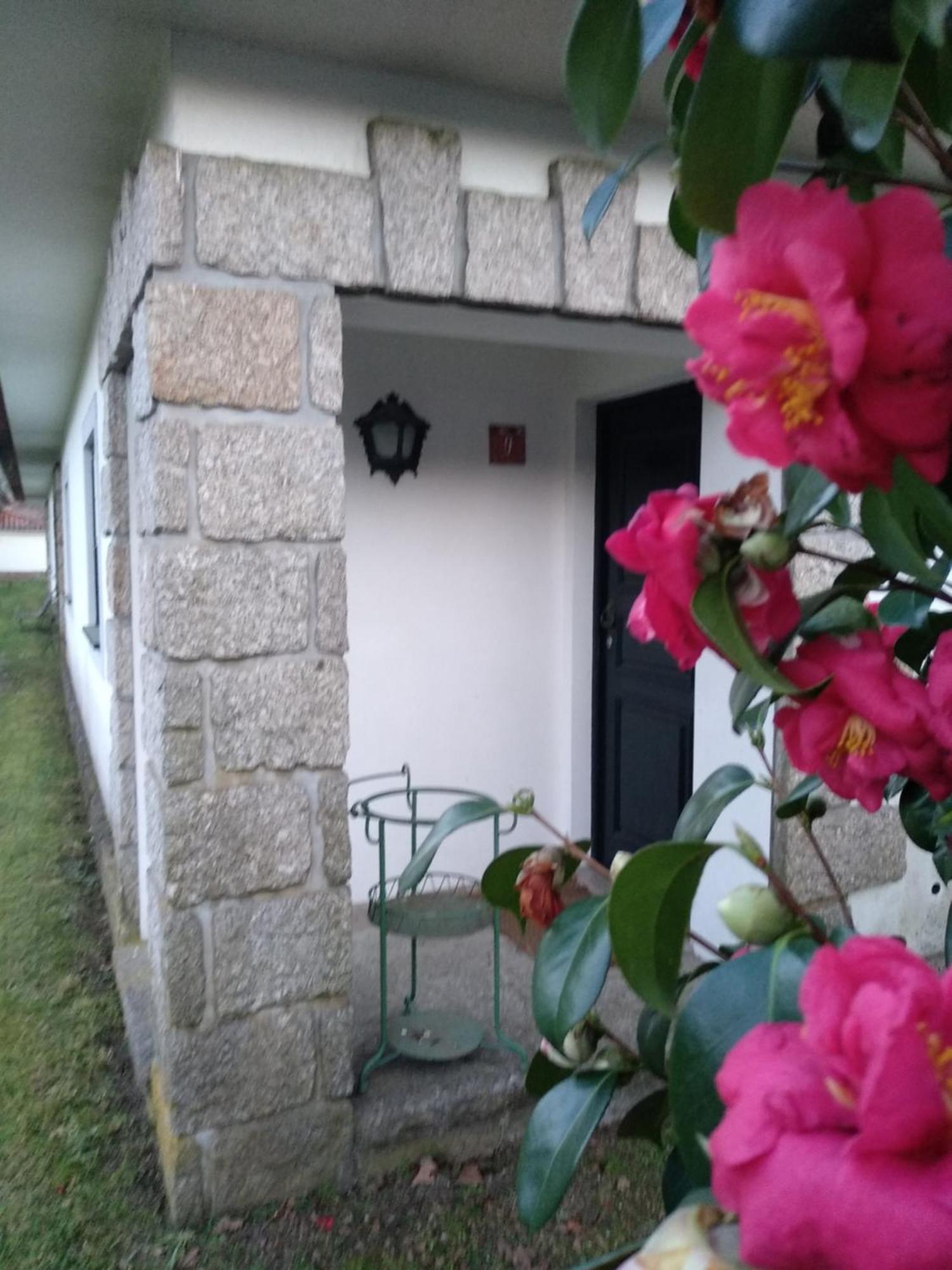 Casas Do Zagão - Turismo Rural Carregal do Sal Exterior foto