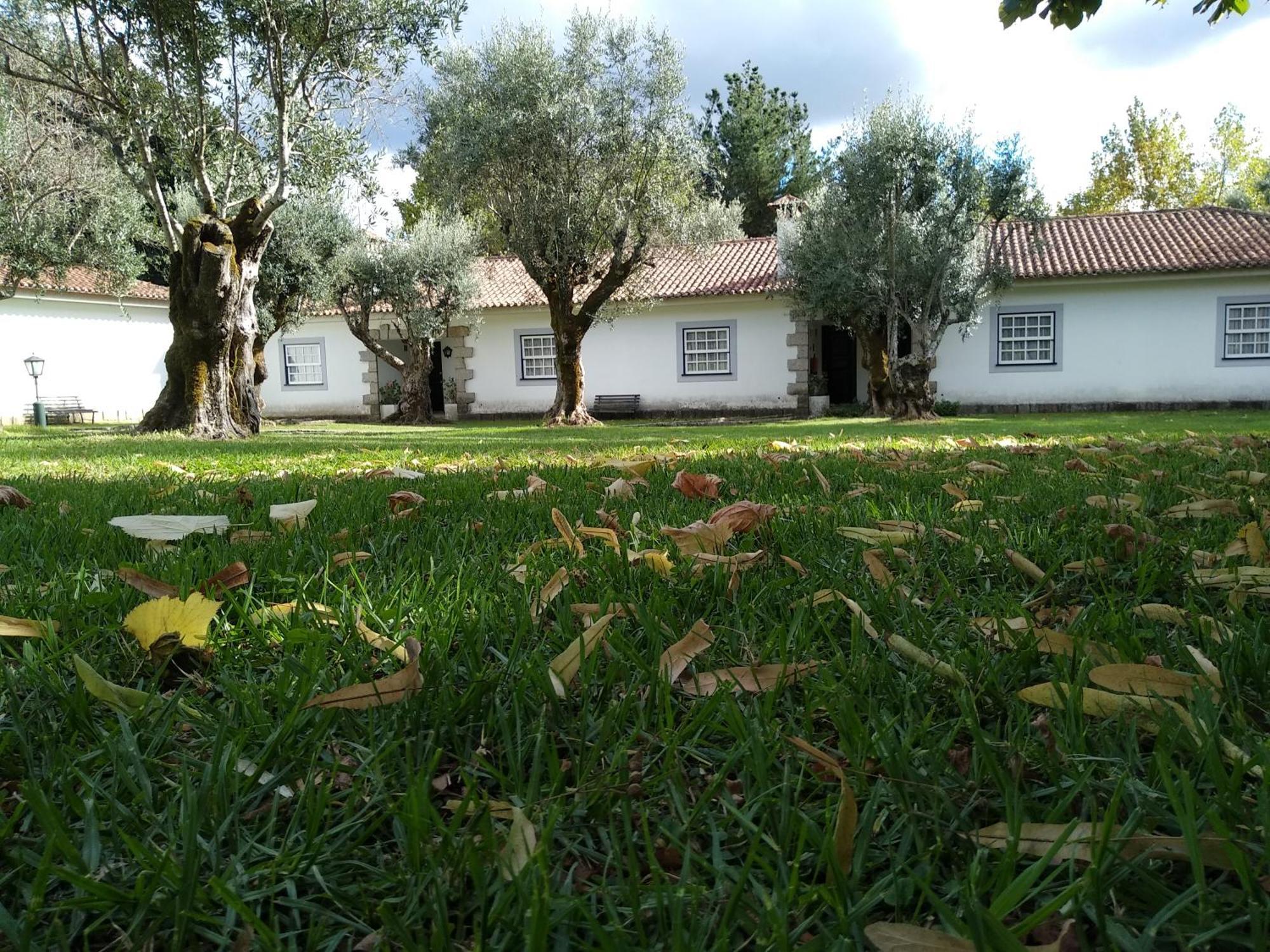 Casas Do Zagão - Turismo Rural Carregal do Sal Exterior foto